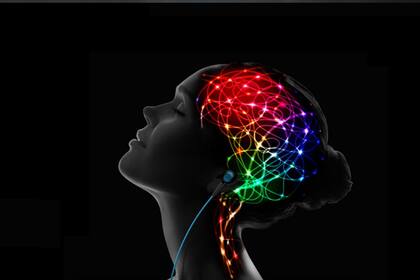 A dopamina produz sensações de prazer e essa ideia vem dos primeiros experimentos com roedores e depois com humanos que descobriram que o sistema de dopamina era ativado quando os animais encontravam uma recompensa.