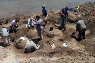 Científicos del INCUAPA extraen los restos de los gliptodontes encontrados en el partido de Bolívar.