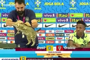 El gato en la conferencia de prensa de Brasil