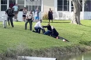 El caimán atacó a la mujer, quien falleció por las heridas en Florida