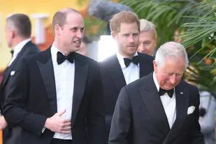 El príncipe Carlos aseguró que está orgulloso de sus hijos por su lucha contra el cambio climático
