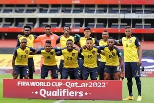 Gustavo Alfaro, entrenador de Ecuador, dio a conocer la lista de convocados para disputar la Copa América