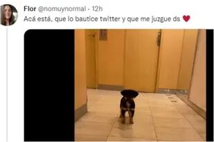 Florencia, en su Twitter, contó la historia de un perro y fue escrachada en las redes