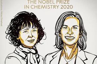 Emmanuelle Charpentier y Jennifer A. Doudna fueron galardonadas “por el desarrollo de un método para la edición del genoma”