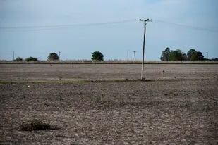 Un lote en Hughes, Santa Fe, que para esta época del año ya debería estar sembrado