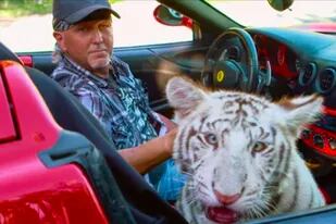 Rey Tigre (Tiger King), lo nuevo de Netflix, pone al descubierto el tráfico de felinos grandes en Estados Unidos, con una selección única de bizarros personajes.