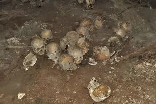 Algunos de los cráneos humanos hallados en la cueva de Comalapa, en Chiapas