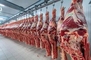 La secretaria de Comercio Interior, Paula Español, afirmó hoy que el Gobierno está analizando subir las retenciones a las exportaciones de carne vacuna