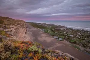 Cuatro playas salvajes y fuera del radar con menos de ocho habitantes en la costa argentina
