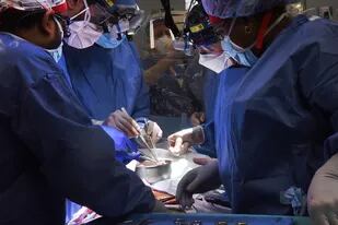 En esta fotografía difundida por la Facultad de Medicina de la Universidad de Maryland, miembros del equipo de cirugía realizan el trasplante de un corazón de cerdo en el paciente David Bennett, el viernes 7 de enero de 2022, en Baltimore.