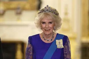 Britain's Camilla, the Queen Consort smiles during the State Banquet held at Buckingham Palace in London, Tuesday Nov. 22, 2022. (Chris Jackson/Pool via AP)