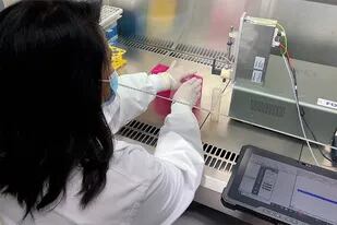 La investigadora Rubaiya Hussain analizando muestras de saliva con el nuevo dispositivo en el laboratorio