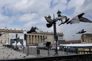 Las palomas vuelan en la plaza de Bolívar, donde se prepara un escenario para la próxima ceremonia de toma de posesión presidencial en Bogotá, Colombia, el jueves 4 de agosto de 2022. El presidente electo Gustavo Petro prestará juramento el 7 de agosto. (AP Foto/Fernando Vergara)