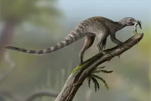 Paleontólogos brasileños, argentinos y de EE.UU. descubrieron un ancestro de los reptiles voladores