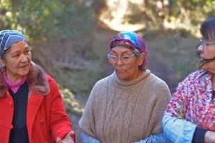 Luisa Quijada, Marta Ranquehue y Mirta Godoy, mujeres de las comunidades mapuches