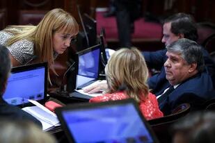 La senadora Fernández Sagasti acusó a la oposición de comportarse como los chicos que se llevan la pelota cuando van perdiendo
