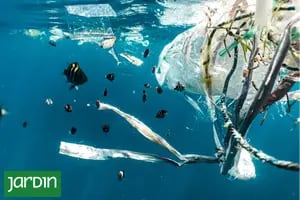 ¿Sabes cuál es el porcentaje de basura que termina en el mar?