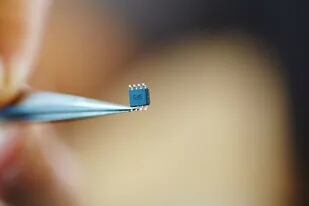 Los microchips habilitarían el ingreso o no a cierta información de la empresa