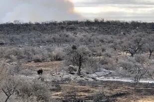 Piedras y cenizas definen hoy el paisaje de 190.000 hectáreas arrasadas por el fuego en Córdoba
