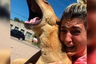 Una joven se reencontró con su perro después de 100 días de haberse perdido y publicó la tierna fotografía del emotivo momento