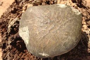 El meteorito lunar "Oued Awlitis 001" fue encontrado en 2014 en el Sahara Occidental (Mohamed Aid)