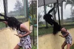 La niña se acercó demasiado al mono y éste reaccionó enojado (Crédito: Captura de video TikTok)