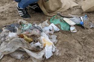 Residuos recolectados en la costa bonaerense durante un censo realizado por organizaciones socioambientales