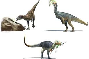 Algunos dinosaurios evolucionaron para hacerse vegetarianos - LA NACION