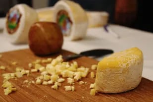 Para elaborar un kilo de queso se necesitan diez litros de leche.