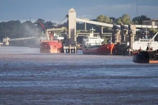 Pese a la bajante del río Paraná, las empresas sostienen la logística con cargas que completan en terminales del sur bonaerense