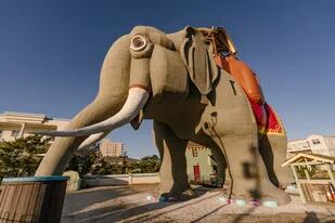 Alojamiento tamaño elefante en la costa de Nueva Jersey (Margate City, Nueva Jersey, Estados Unidos)