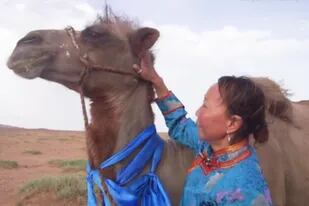 Luego de que un pastor le salvara la vida en el desierto, el camello llogró llegar a su hogar, con numerosas cicatrices por la travesía (Daily Mail)