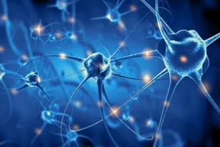 Un astrofísico y un neurocirujano italianos encontraron similitudes sorprendentes al comparar la red de células neuronales del cerebro humano con la red cósmica de galaxias