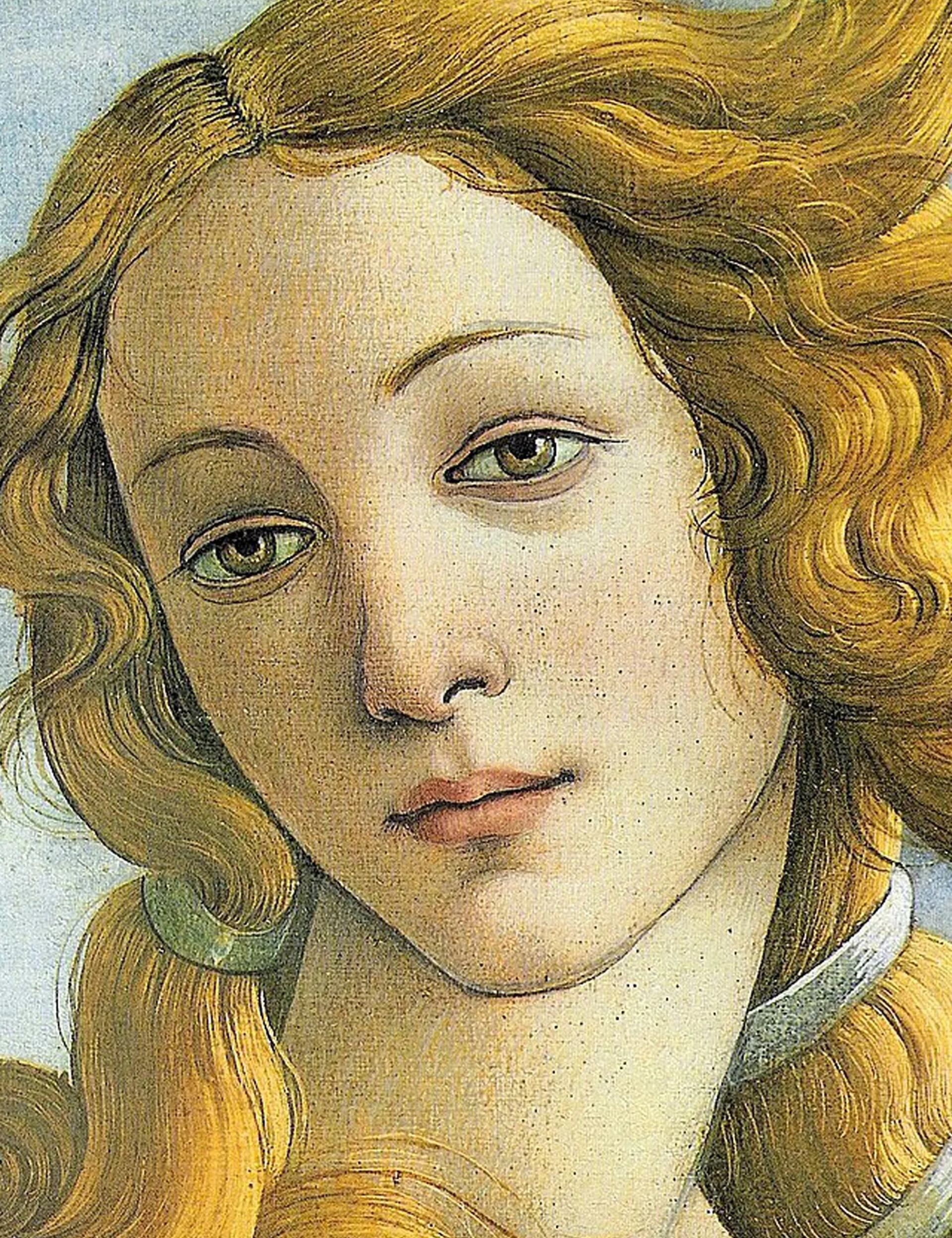 Incorrecto arco Papá Venus de Botticelli. ¿Quién era realmente y por qué era tan famosa? - LA  NACION