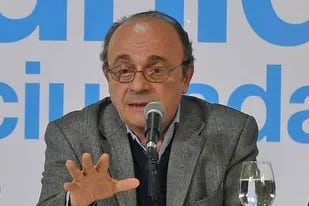Leopoldo Moreau criticó a Marcela Losardo: "Es extraño que la ministra aparezca solamente para lo de Rafecas"
