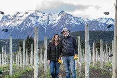 La segunda bodega más austral del mundo conquista con sus cultivos orgánicos y ofrece una verdadera experiencia patagónica
