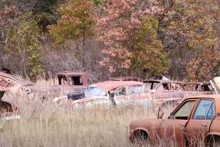 Encontraron una colección de autos vintage abandonados y se toparon con una sorpresa.