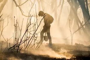 El trabajo de unos mil voluntarios fue clave para combatir los incendios que arrasaron los humedales del Delta del Paraná