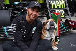 Hamilton le demuestra su amor a su mascota en sus redes sociales