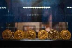 Las medallas del Nobel en el laboratorio en Karlskoga, Suecia. (Photo by Jonathan NACKSTRAND / AFP)