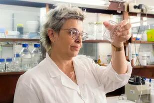 La doctora Carla Eugenia Giacomelli, experta en nanociencia, en plena tarea en el laboratorio