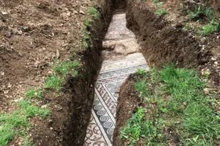 Un camino de mosaicos romanos quedó a la vista en un viñedo de la provincia de Verona (Comune di Negrar di Valpolicella)