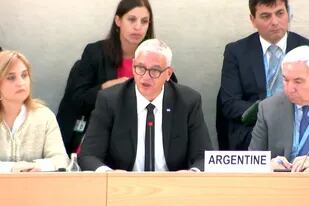 El secretario de Derechos Humanos, Horacio Pietragalla, durante su presentación en la ONU