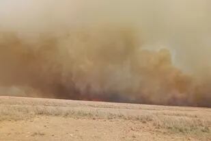 El campo de Martin Gómez en Mercedes, Corrientes, cubierto por las llamas