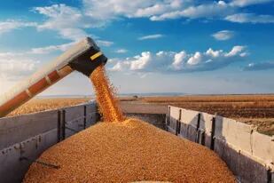 De la última cosecha se produjeron 59 millones de toneladas según el Gobierno