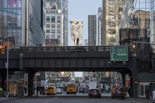 Render de la posible instalación de Foreingers, de Claudia Fontes, en el High Line de Manhattan