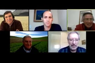 Los cinco expertos del primer panel en la jornada virtual de A Todo Trigo