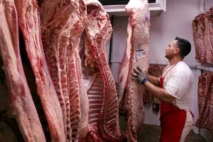 Por los incrementos de precios, podrían interrumpir la exportación de carne