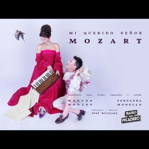 Mi querido Sr. Mozart