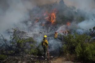 En la Argentina, un 95% de los incendios forestales son de origen intencional